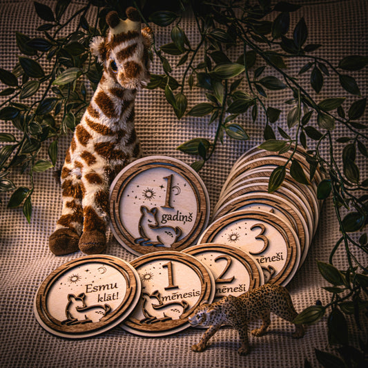 Koka atmiņu kartiņu komplekts "Mazuļa pirmais gads"